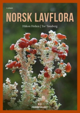 Norsk lavf …