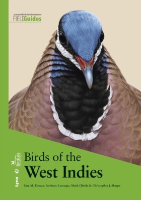 Birds of t …