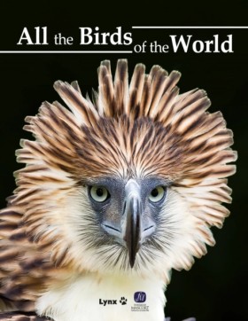 All the Bi …