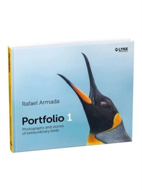 Portfolio …