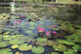 Gardens of &hellip;