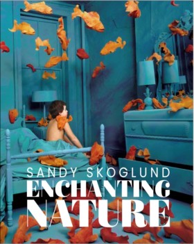 Sandy Skog …