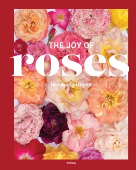 The Joy of …