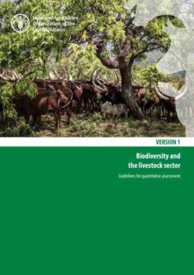 Biodiversi …
