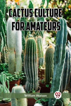 Cactus Cul …