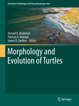 Morphology …
