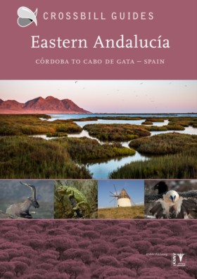 Eastern An …