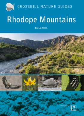 Rhodope Mo &hellip;