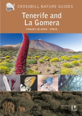 Tenerife a …