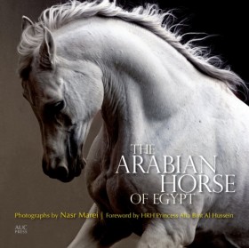 The Arabia &hellip;