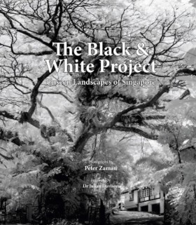 The Black &hellip;