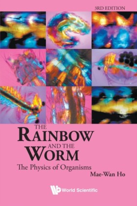 Rainbow An …
