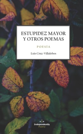 Estupidez &hellip;