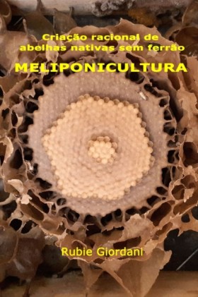 Criacao ra …