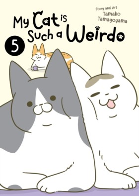 My Cat is …