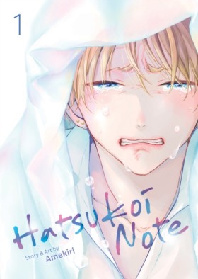 Hatsukoi N …