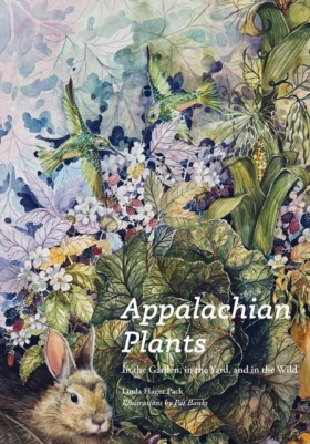 Appalachia …