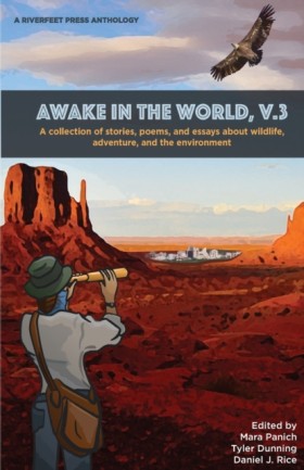 Awake in t &hellip;
