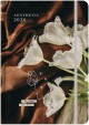 ΗΜΕΡ.WRITE YOUR FUTURE 26 AESTHETIC ΠΕΤΑΛΟΥΔΑ 17*25 ΕΒΔΟΜΑΔΙΑΙΟ ΜΕ ΛΑΣΤΙΧΟ