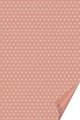 ΧΑΡΤΟΝΙ Α4 200ΓΡ.HEYDA STARLIGHT CORAL