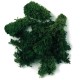 ΒΡΥΑ 30ΓΡ.RAYHER ΠΡΑΣΙΝΟ ΣΚΟΥΡΟ