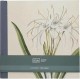 ΒΙΒΛΙΟ ΕΥΧΩΝ 21,5*21,5cm.KIUB ENCYCLOPEDIA ΛΟΥΛΟΥΔΙΑ ΠΡΑΣΙΝΟ